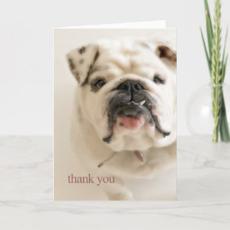 Cartão De Agradecimento Obrigado branco leal do buldogue você