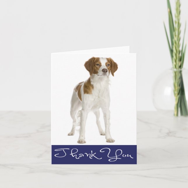 Cartão De Agradecimento Obrigado Brittany Spaniel Puppy Dog Card (Frente)