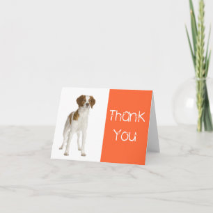 Cartão De Agradecimento Obrigado Brittany Spaniel Puppy Dog Card