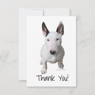 Cartão De Agradecimento Obrigado, Bull Terrier