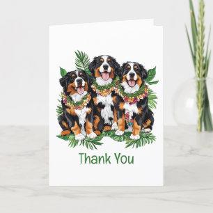 Cartão De Agradecimento Obrigado Cachorros de Montanha do Havaí Bernese