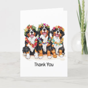 Cartão De Agradecimento Obrigado Cachorros de Montanha do Havaí Bernese