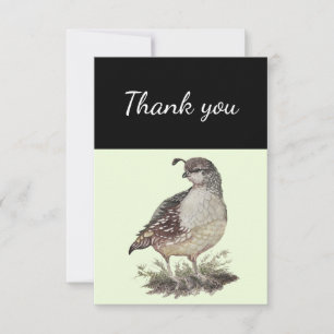 Cartão De Agradecimento Obrigado, California Quail Bird Nature Art