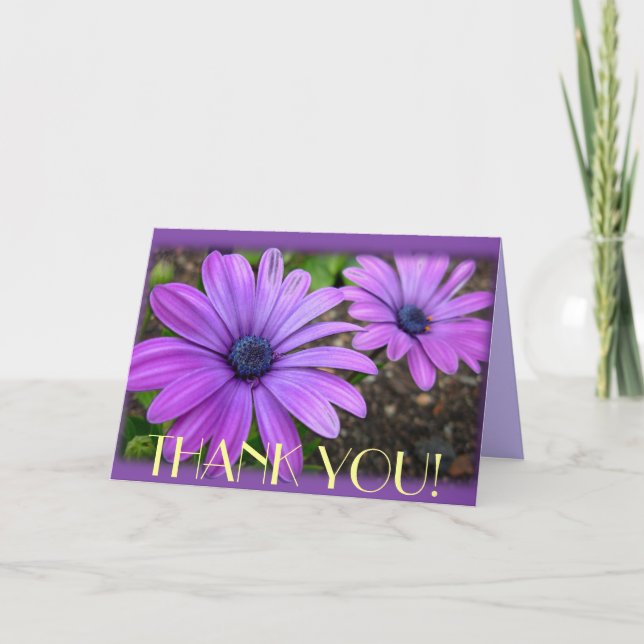 Cartão De Agradecimento Obrigado Cards Daisiers Flores Saudação Personaliz (Frente)