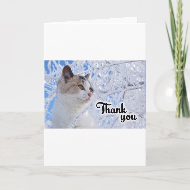 Cartão De Agradecimento Obrigado Cat (Frente)