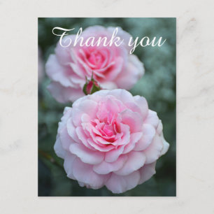 Cartão De Agradecimento Obrigado cor-de-rosa dos rosas você