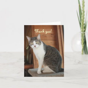 Cartão De Agradecimento Obrigado customizável você