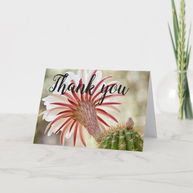 Cartão De Agradecimento Obrigado de flor de cacto florado noturno (Frente)