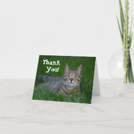 Cartão De Agradecimento Obrigado de sorriso do gato de gato malhado você