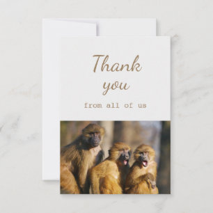Cartão De Agradecimento Obrigado De Todos Os Macacos Nos Diversão Animal