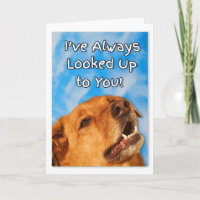 Obrigado do instrutor de cão você golden retriever