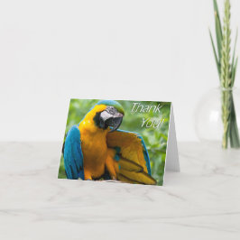 Cartão De Agradecimento Obrigado do Macaw você Notecards
