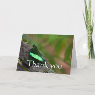 Cartão De Agradecimento obrigado Emerald Swallowtail