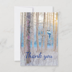 Cartão De Agradecimento Obrigado Forest Blue Jay Bird Nature Willife Art