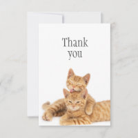 Obrigado Gatinhos Gatinhos Gatinhos De Gato Laranj