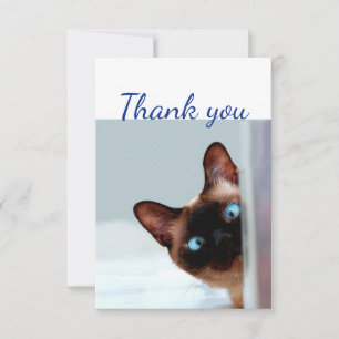 Cartão De Agradecimento Obrigado Goeking Kitten Animal Divertido