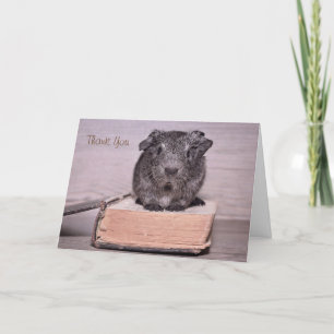 Cartão De Agradecimento Obrigado Guiné Pig Sat em um Livro