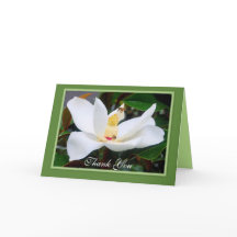 Obrigado Magnolia e Honeyabies Green Frame
