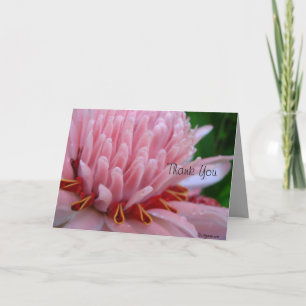Cartão De Agradecimento Obrigado, Manda-Me Sair De Gengibre Rosa