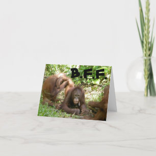 Cartão De Agradecimento Obrigado, Melhores Amigos