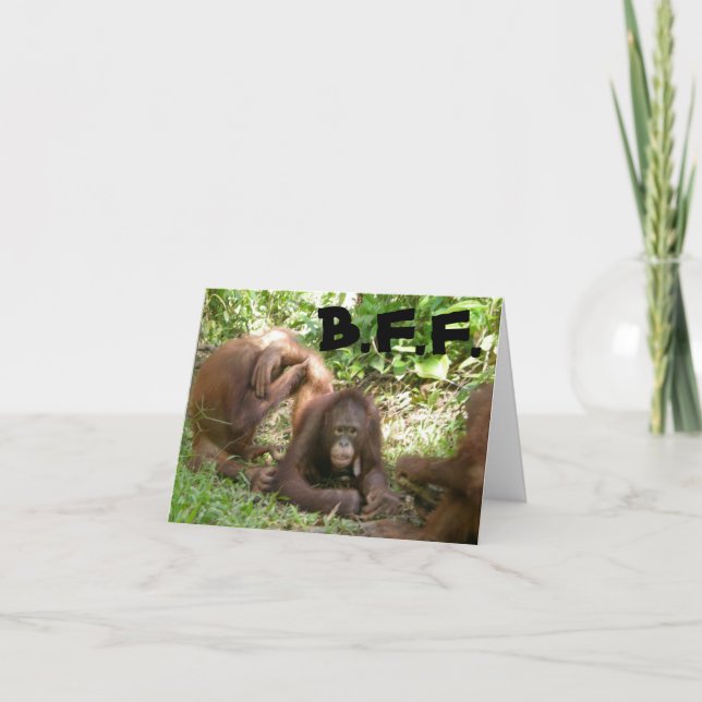 Cartão De Agradecimento Obrigado, Melhores Amigos (Frente)