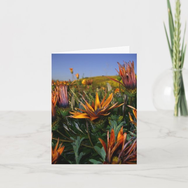 Cartão De Agradecimento Obrigado notar: Campo das flores (Frente)