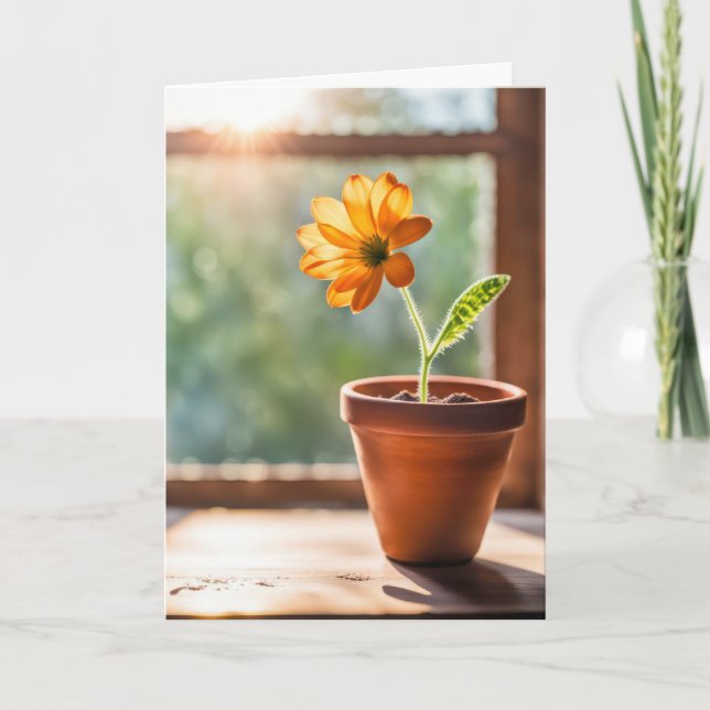 Cartão De Agradecimento Obrigado Orange Daisy (Frente)