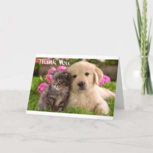 Cartão De Agradecimento Obrigado Ouro Retriever Puppy & Kitten Card