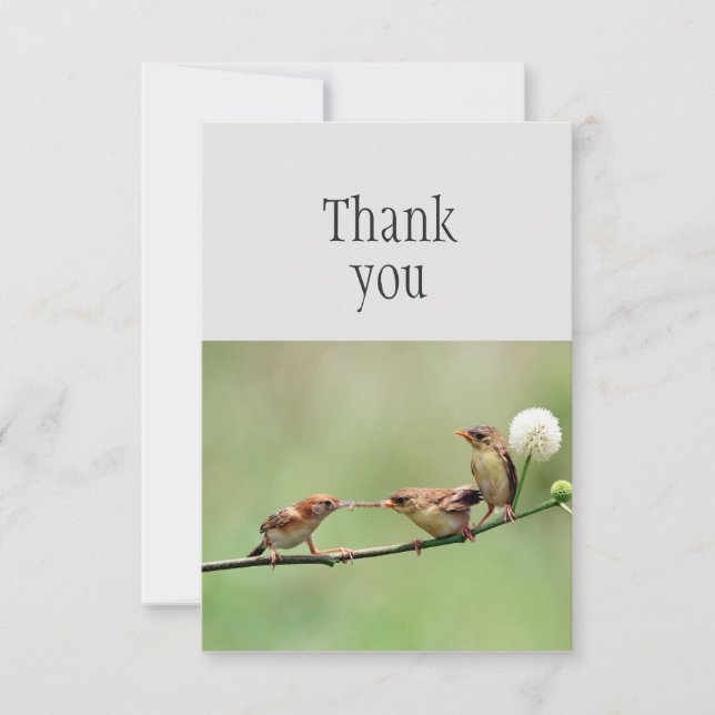 Cartão De Agradecimento Obrigado Pai Pássaro Bonito Bebês Pássaros (Frente)