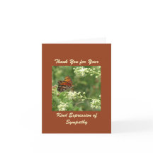 Obrigado Pela Simpatia, Borboleta Laranja