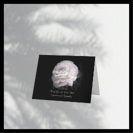 Cartão De Agradecimento Obrigado pela simpatia, uma rosa rosa pálida