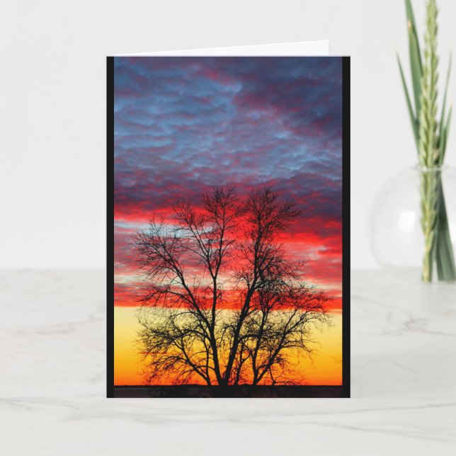 Cartão De Agradecimento Obrigado Pelo Seu Serviço Ao Nosso País (Frente)