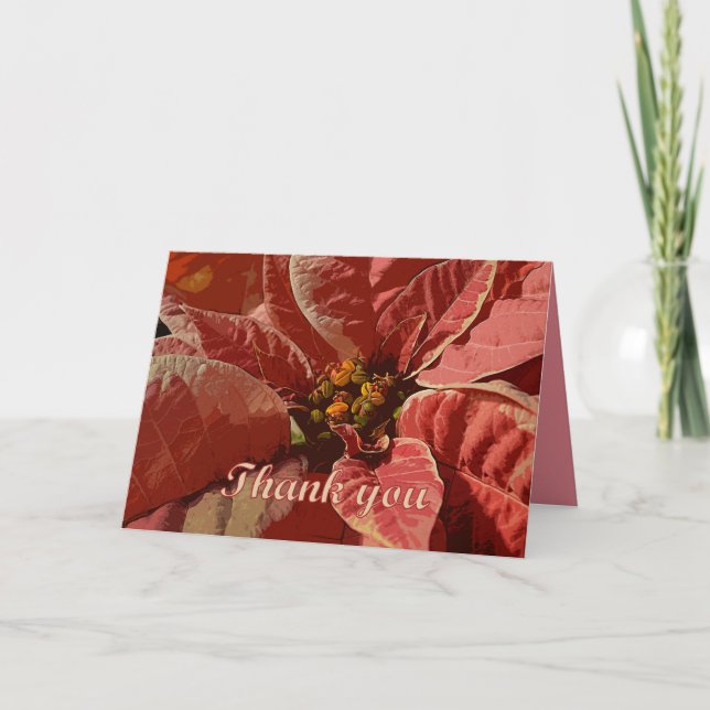 Cartão De Agradecimento Obrigado, Pink e Creme Poinsettias com Texto (Frente)