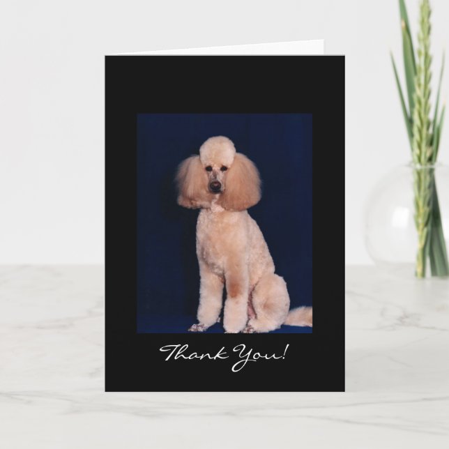 Cartão De Agradecimento Obrigado Poodle Card (Frente)