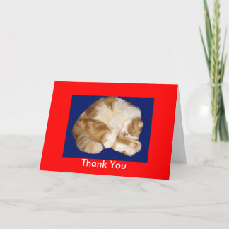 Cartão De Agradecimento Obrigado por cuidar do meu Gatinho