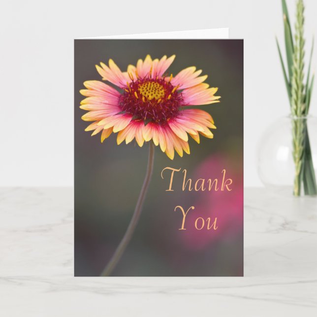 Cartão De Agradecimento Obrigado por Dasies (Frente)