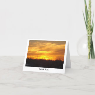 Cartão De Agradecimento Obrigado - praia de scusset