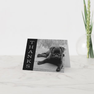 Cartão De Agradecimento Obrigado Pug Puppy Dog Black & White Note Card