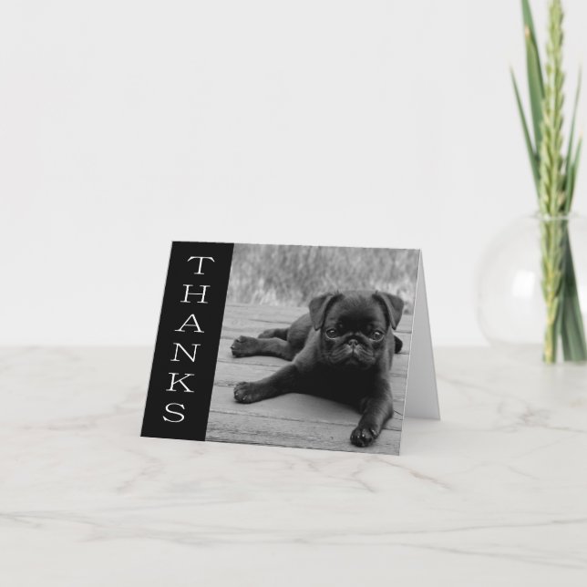 Cartão De Agradecimento Obrigado Pug Puppy Dog Black & White Note Card (Frente)