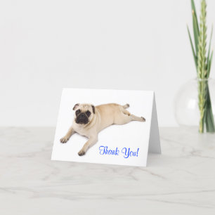 Cartão De Agradecimento Obrigado Pug Vazio Note Card