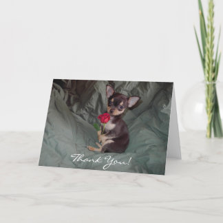 Cartão De Agradecimento Obrigado, Puppy Card