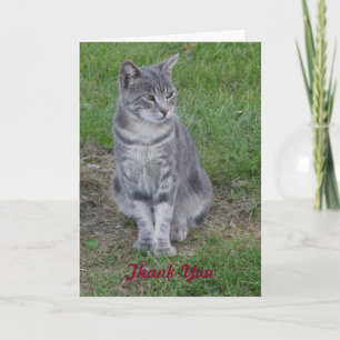 Cartão De Agradecimento Obrigado, Purrfect Gift