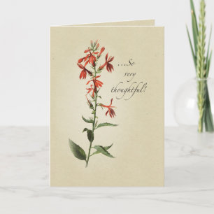 Cartão De Agradecimento Obrigado Red Wildflower, Religioso