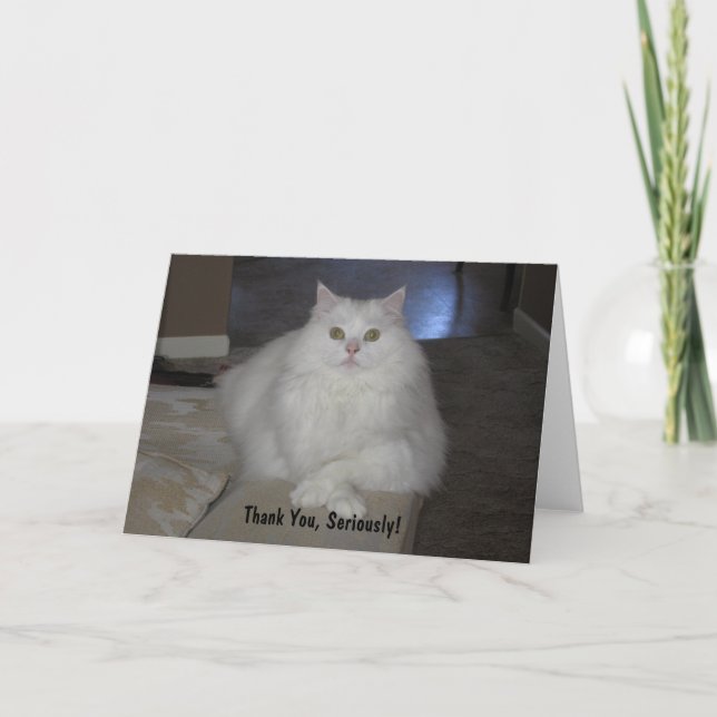 Cartão De Agradecimento Obrigado, seriamente! (Frente)