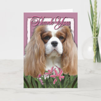 Cartão De Agradecimento Obrigado - Tulipas Rosa - Cavalier - Blenheim