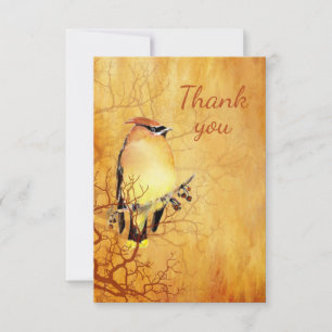 Cartão De Agradecimento Obrigado Watercolor Cedar Waxwing Natureza