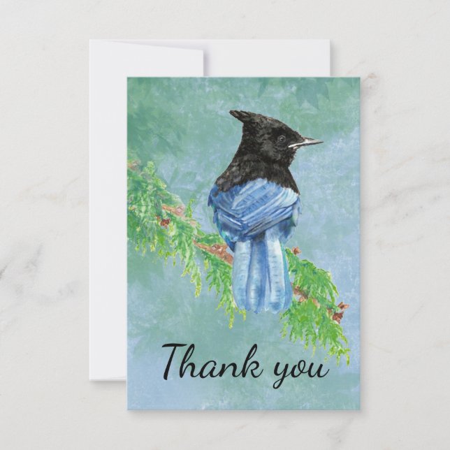 Cartão De Agradecimento Obrigado Watercolor Stellar Jay Bird (Frente)