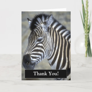 Cartão De Agradecimento Obrigado Zebra Card