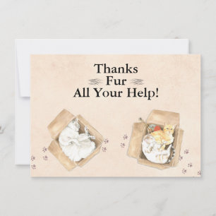 Cartão De Agradecimento Obrigados Dão Toda A Sua Ajuda! Gatos em caixas, 