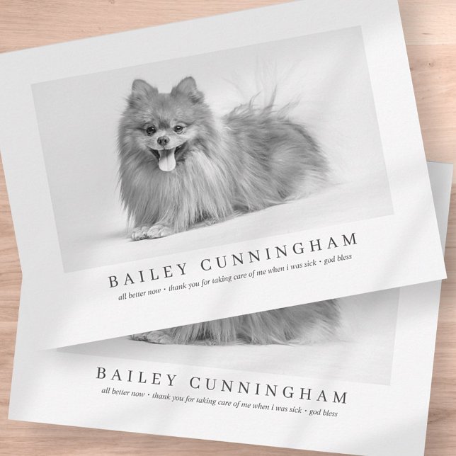 Cartão De Agradecimento Obrigados De Pet De Foto Modernos E Simples Enferm (Criador carregado)